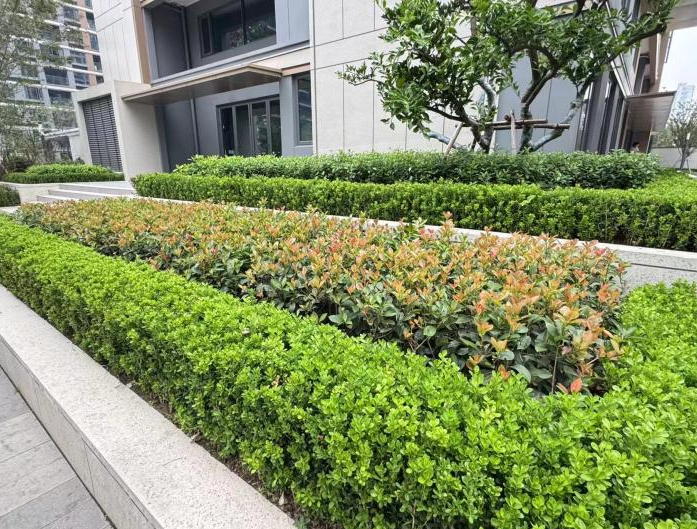 1730097565985237.png image.png